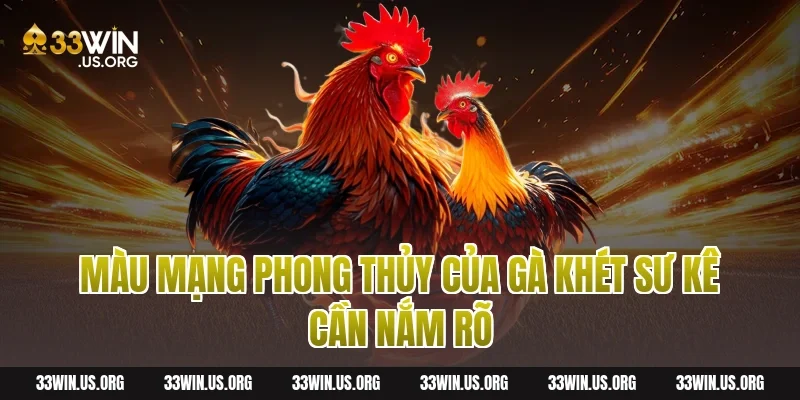 Màu Mạng Phong Thủy Của Gà Khét Sư Kê Cần Nắm Rõ